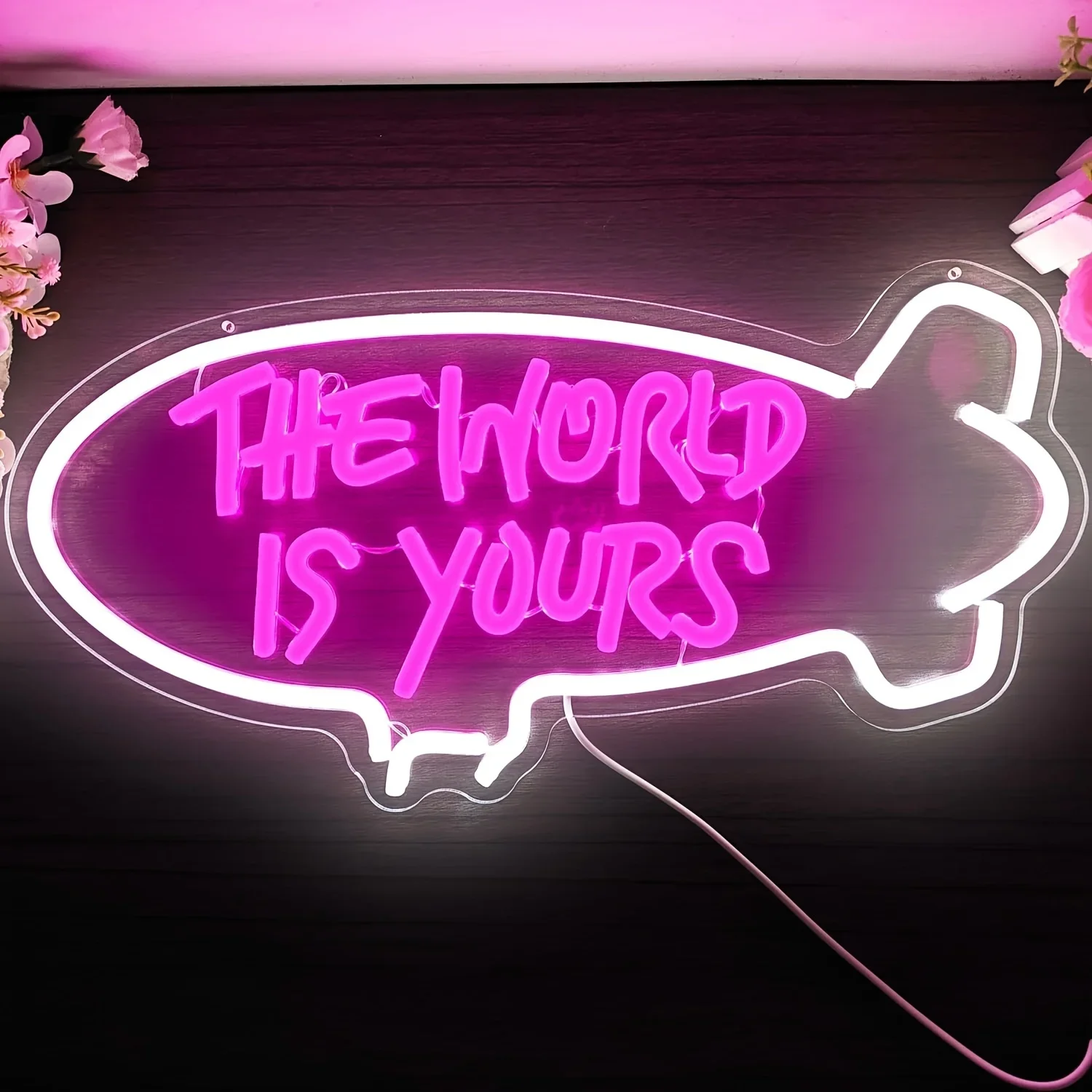Outdoor Lighting For Your Home - ป้ายไฟนีออน The World Is Yours Blimp